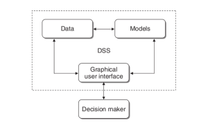 Fig. DSS: General Architecture